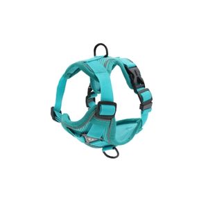 Jolly Dog Harness + Leash