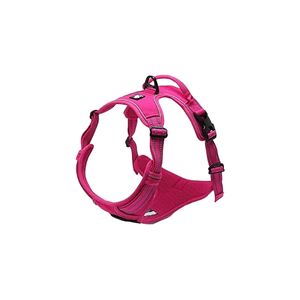 Jolly Dog Harness + Leash