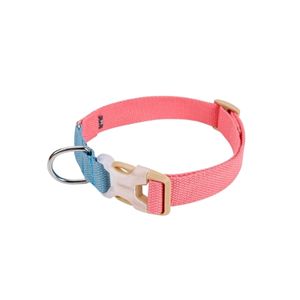 Vivace Dog Collar