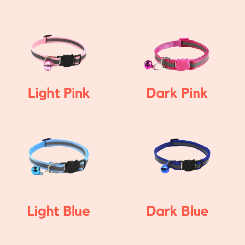 Reflective Collars