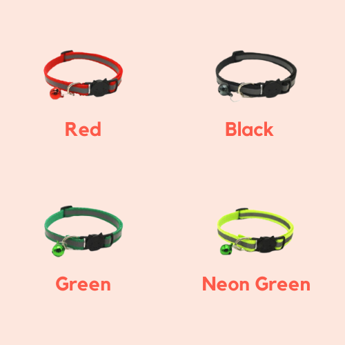Reflective Collars
