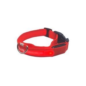 LED Collars