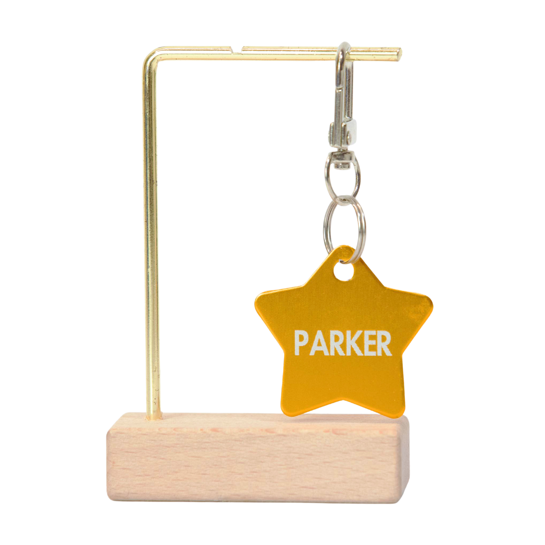 Star Funky Pet Tag