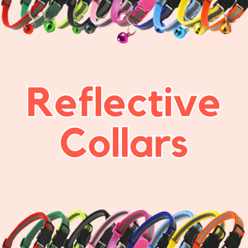 Reflective Collars – pawtasticph
