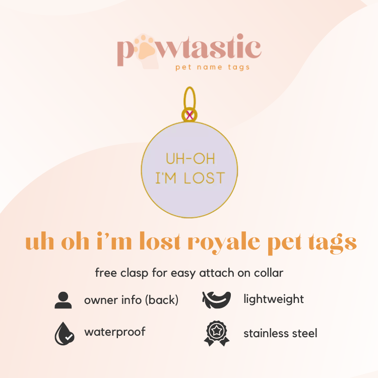 Uh Oh I'm Lost Royale Pet Tags