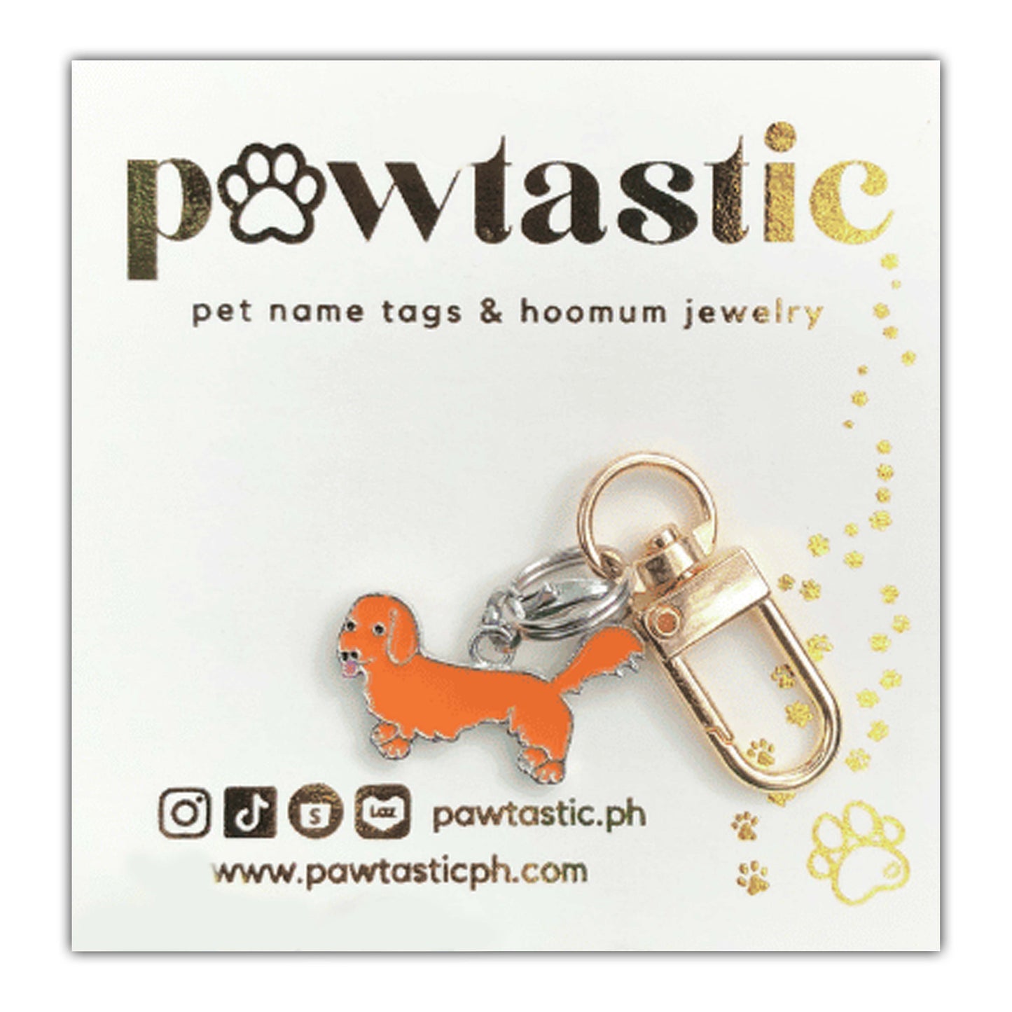 Pawtastic Keychain